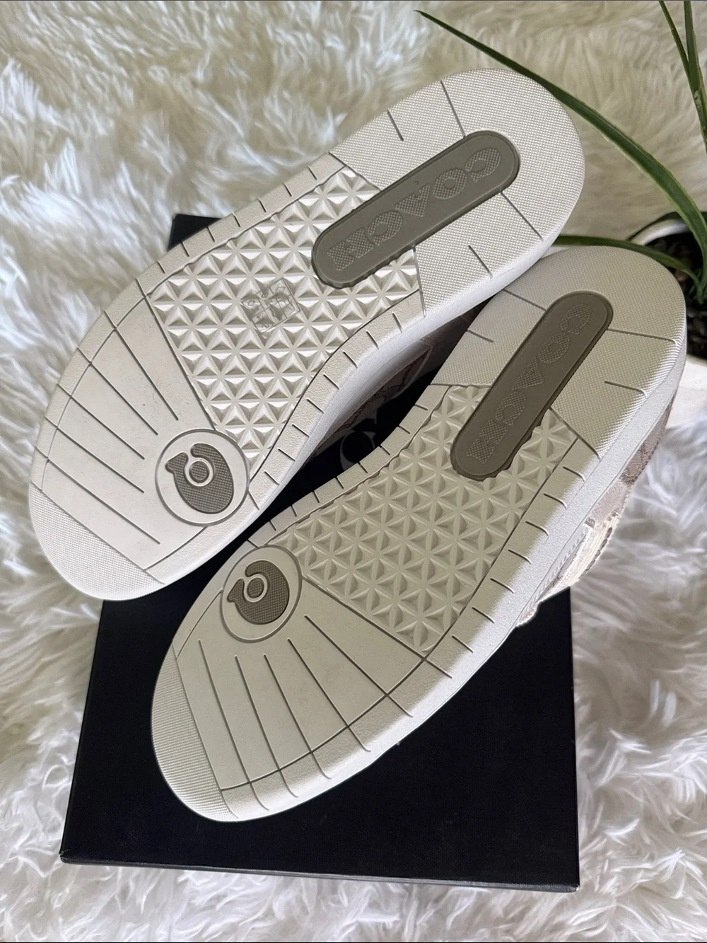 Coach Kids Logo-Print Sneakers in Beige and Cream